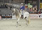 Paglione Donato_Sagitario